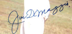 Joe DiMaggio Autograph Sample