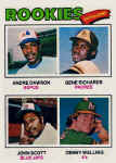 1977 Topps Card 473 Andre Dawson RC