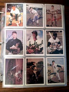 Signed baseball card collection