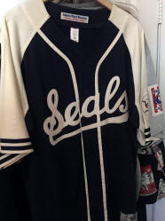 Baseball Uniform Jersey display